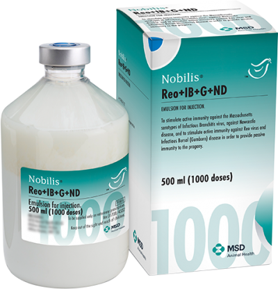 Nobilis® Reo+IB+G+ND - MSD Salud Animal Argentina