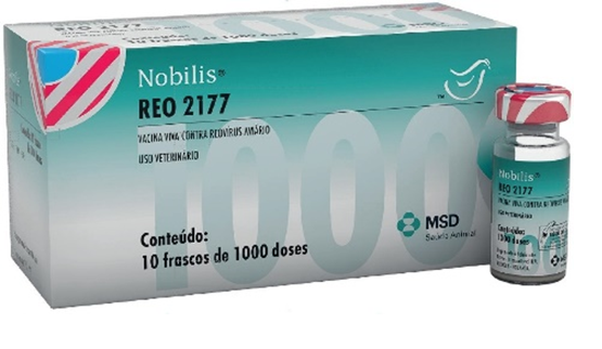 Nobilis Reo-2177